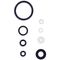 AIRCRAFT Sg H2000 Service Kit Washers & O-rings (4, 6, 14)